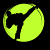 The Budo Blog